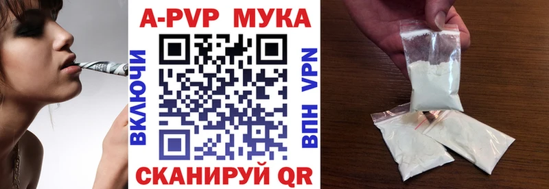 APVP СК  магазин  наркотиков  Киселёвск 