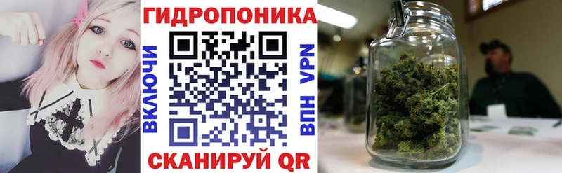 Бошки марихуана семена Киселёвск